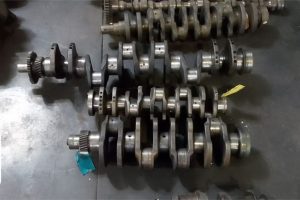 HIGHVELDPHOTOS10 HIGHVELDPHOTOS10