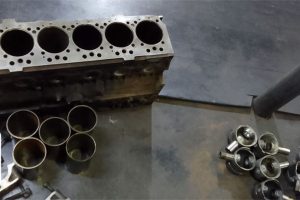 HIGHVELDPHOTOS11 HIGHVELDPHOTOS11