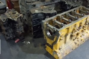 HIGHVELDPHOTOS13 HIGHVELDPHOTOS13