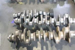 HIGHVELDPHOTOS21 HIGHVELDPHOTOS21