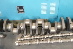 HIGHVELDPHOTOS22 HIGHVELDPHOTOS22